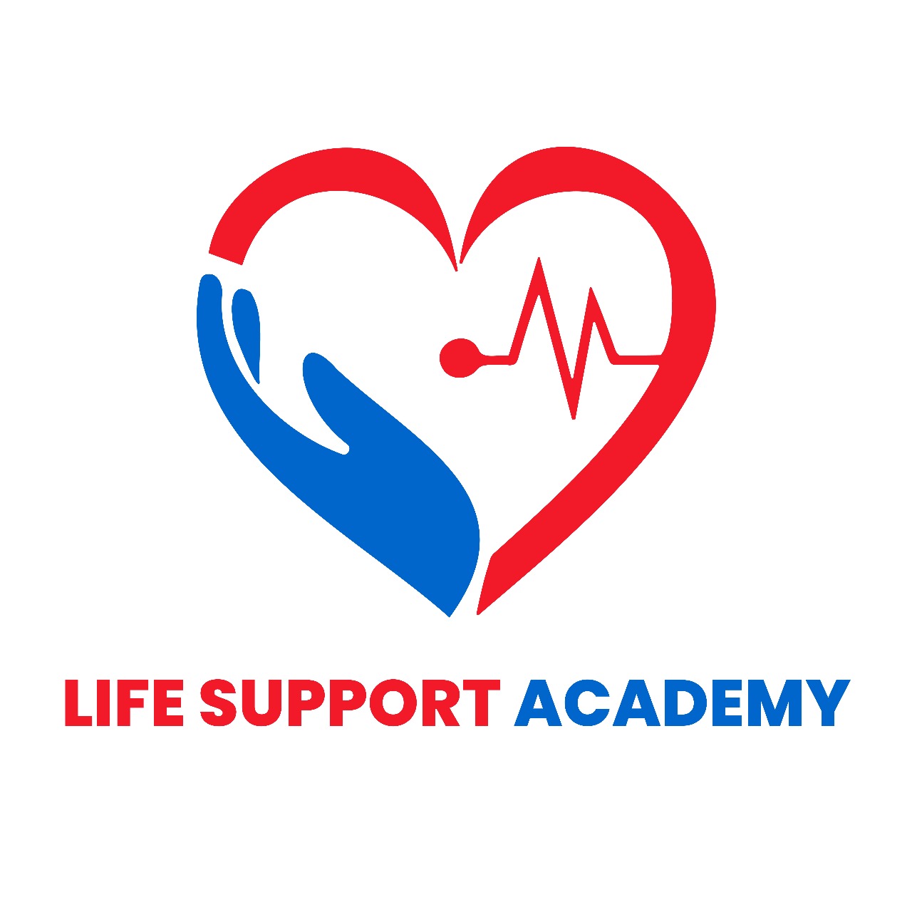 Life Support Academy Logo